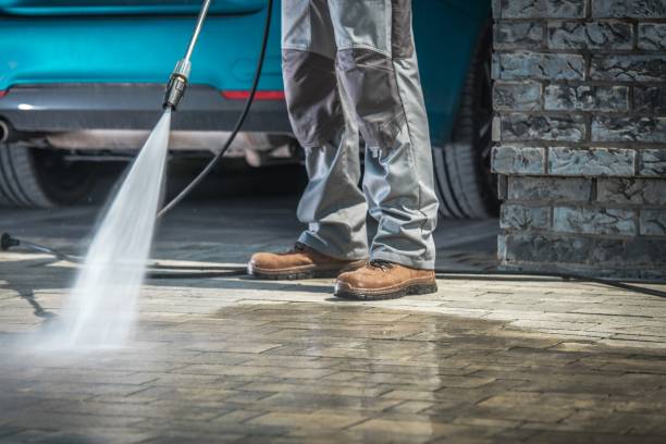 Best Fleet Vehicle Washing  in Fox Chase, PA
