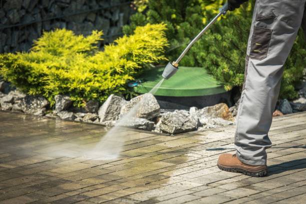 Best Playground Equipment Cleaning  in Fox Chase, PA